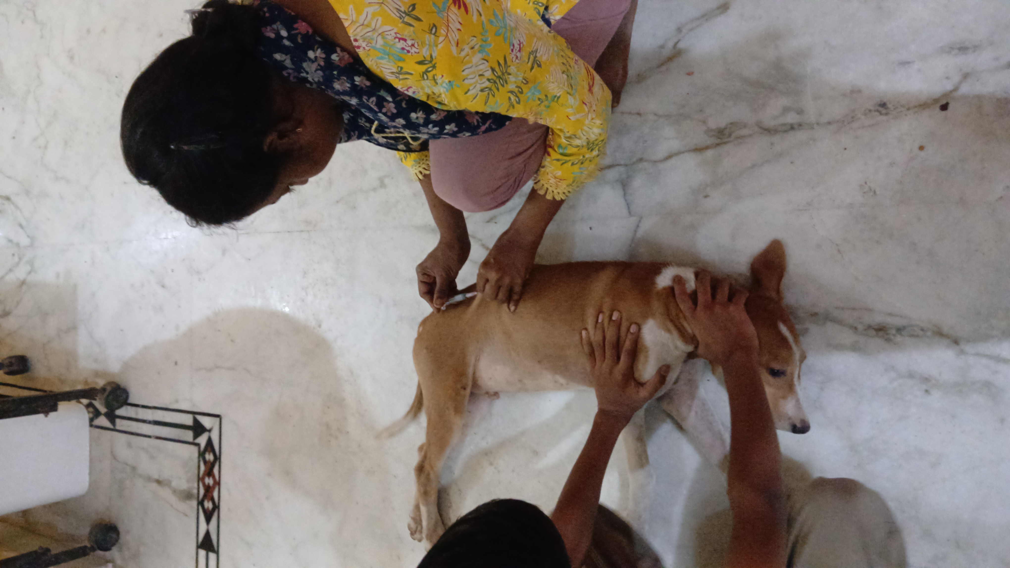 Vaccination